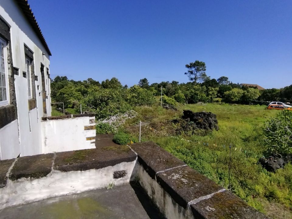 Landejendom i Madalena, Pico - foto 4